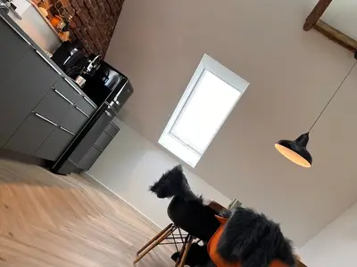 Ferienwohnung für 5 Personen (110 m²) in Rödinghausen 5/10