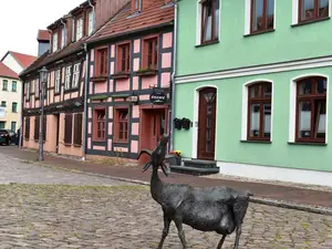 Ferienwohnung für 3 Personen (40 m²) in Röbel/Müritz