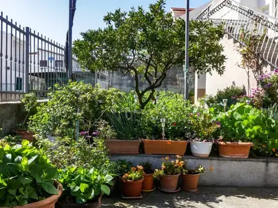Ferienwohnung für 4 Personen in Rogoznica 7/10