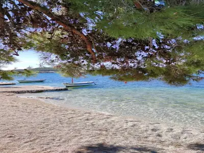 AreaSummer1KM