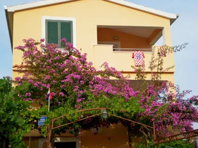 Ferienwohnung für 4 Personen (56 m²) in Rogoznica-Kanica 8/10