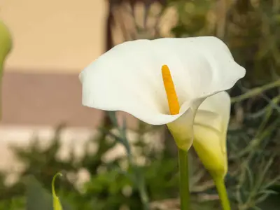 Ferienwohnung für 4 Personen (70 m²) in Rogoznica-Kanica 2/10