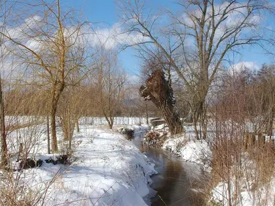 Winterlicher_Kaiserbach