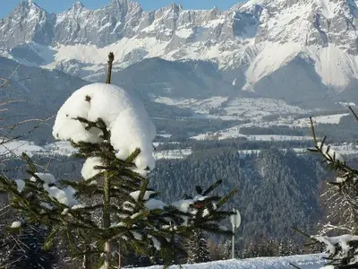 Ferienwohnung für 2 Personen (15 m²) in Rohrmoos 3/10