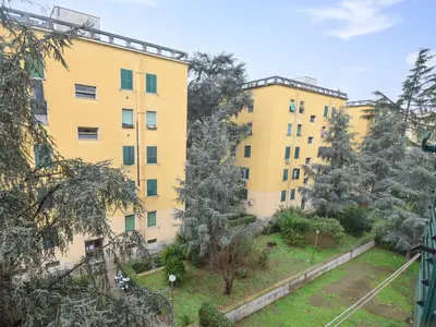 view-from-room