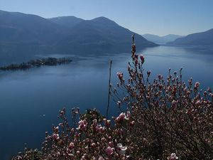 Brissago Inseln - Casa Leula