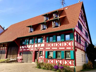 Ferienwohnung für 4 Personen (49 m²) in Rosenfeld 1/10