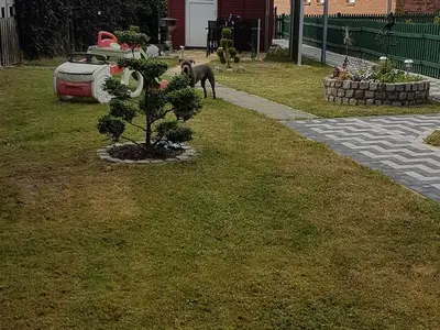 Ferienwohnung für 4 Personen (42 m²) in Rosenow (Landkreis Demmin) 8/10