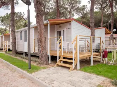 Ferienwohnung für 6 Personen (62 m²) in Rosburgo 2/10