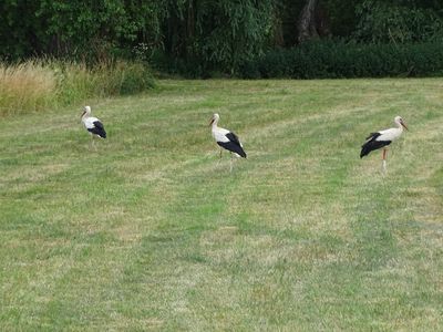 Natur vor der Haustür