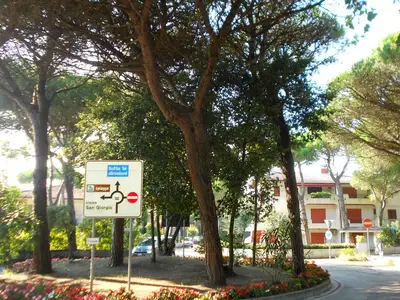 Ferienwohnung für 5 Personen (55 m²) in Rosolina Mare 10/10