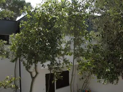 Ferienwohnung für 4 Personen (45 m²) in Rosolina Mare 10/10
