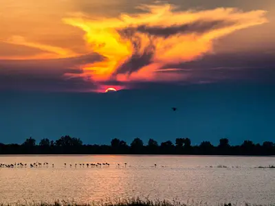 Ferienwohnung für 4 Personen (35 m²) in Rosolina Mare 10/10