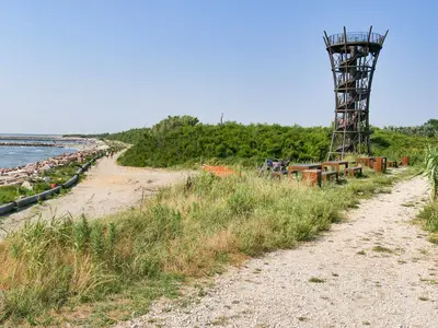 Ferienwohnung für 4 Personen (40 m²) in Rosolina Mare 10/10