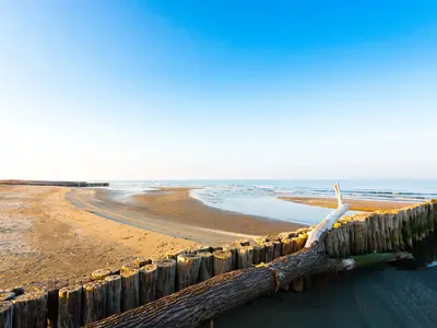 Ferienwohnung für 4 Personen (47 m²) in Rosolina Mare 10/10