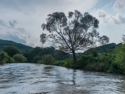Die Wied bei Roßbach