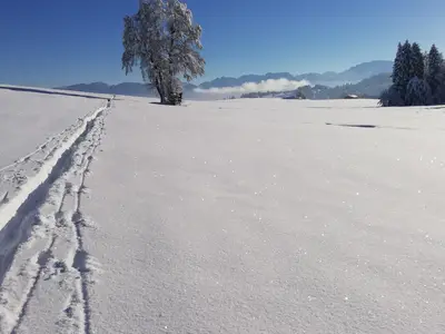Winterwanderung ab der Haustüre