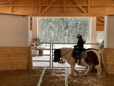 Jack-in-der-Halle