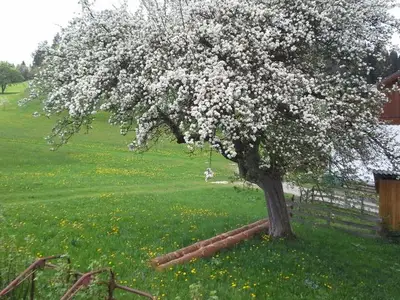 Ferienwohnung für 4 Personen (75 m²) in Roßleithen 7/10