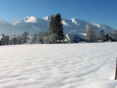 Ferienwohnung für 5 Personen (52 m²) in Roßleithen 8/10