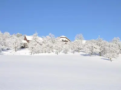 Ferienwohnung für 5 Personen (60 m²) in Roßleithen 2/10