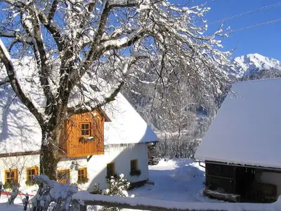 Ferienwohnung für 5 Personen (80 m²) in Roßleithen 2/10