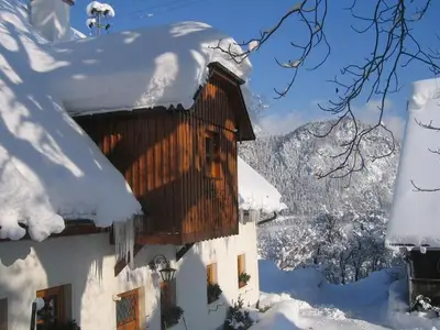 Ferienwohnung für 5 Personen (80 m²) in Roßleithen 3/10