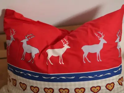 Ferienwohnung für 5 Personen (80 m²) in Roßleithen 7/10