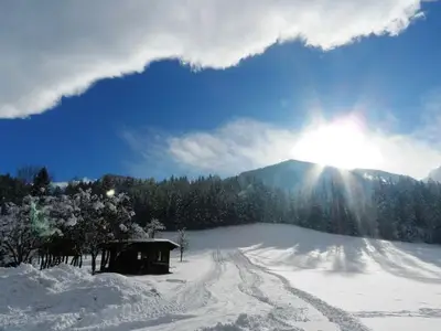 Ferienwohnung für 7 Personen (70 m²) in Roßleithen 4/10