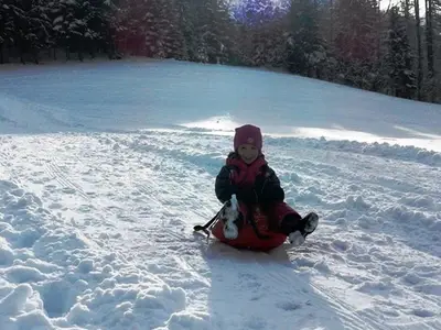 Ferienwohnung für 7 Personen (70 m²) in Roßleithen 5/10