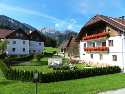 Hof im Sommer