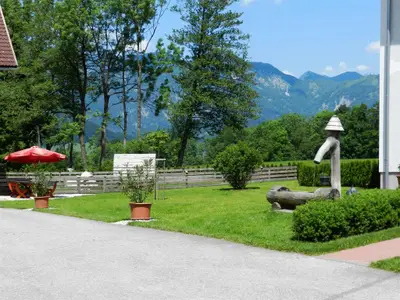 Blick in den Garten