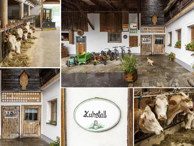 collage Kuhstall
