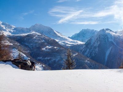 Rosswald im Winter