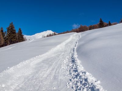 Winterwandern