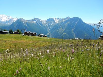 Rosswald im Sommer