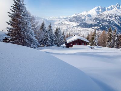 Rosswald im Winter