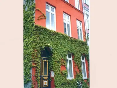 Ferienwohnung für 4 Personen (41 m²) in Stadtmitte 1/10