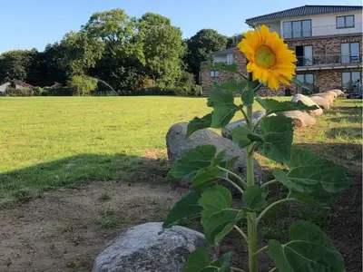 Ferienwohnung für 2 Personen (32 m²) in Rostock 6/8