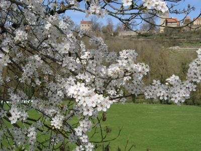 Ferienwohnung für 4 Personen (70 m²) in Rothenburg ob der Tauber 8/10