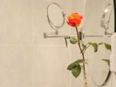 Ferienwohnung für 3 Personen (55 m²) in Rottach-Egern 8/10