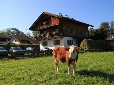 Ferienwohnung für 3 Personen (50 m²) in Rottach-Egern 2/5