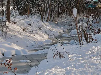 Ferienwohnung für 2 Personen (45 m²) in Rottach-Egern 9/10