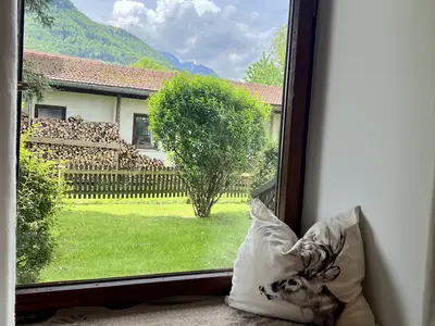 Lieblingsplatz am Fenster