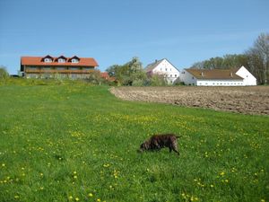 18319130-Ferienwohnung-2-Rotthalmünster-300x225-2