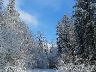 Winterwonderland