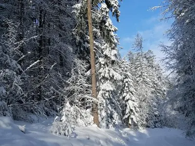 Winterwonderland