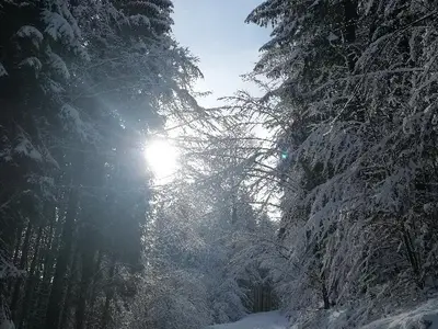 Winterwonderland