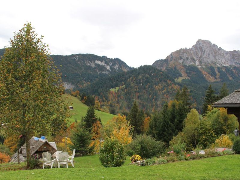 23911197-Ferienwohnung-8-Rougemont-800x600-1