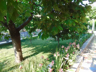 Ferienwohnung für 4 Personen (75 m²) in Rovinj 2/10